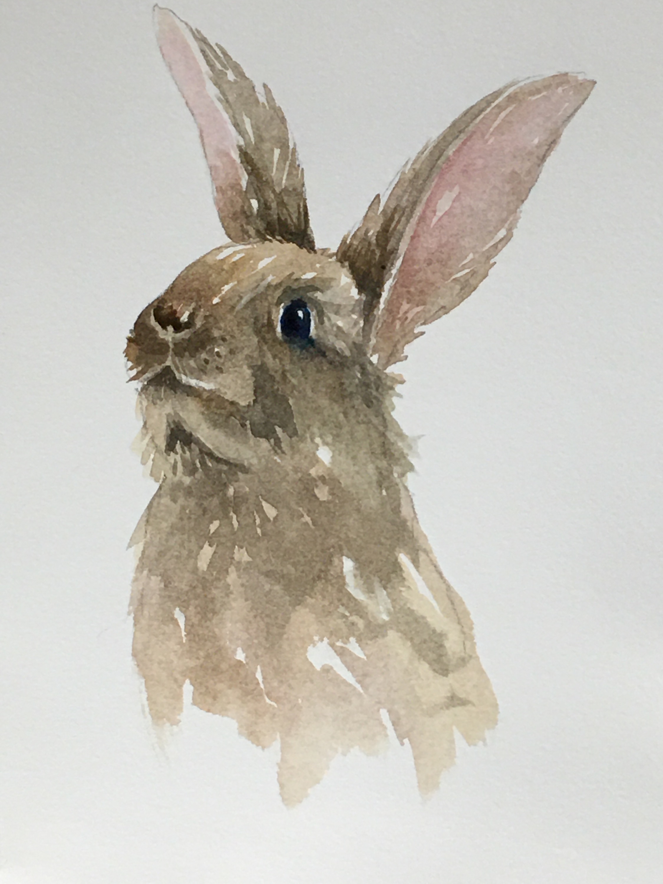 Watercolor