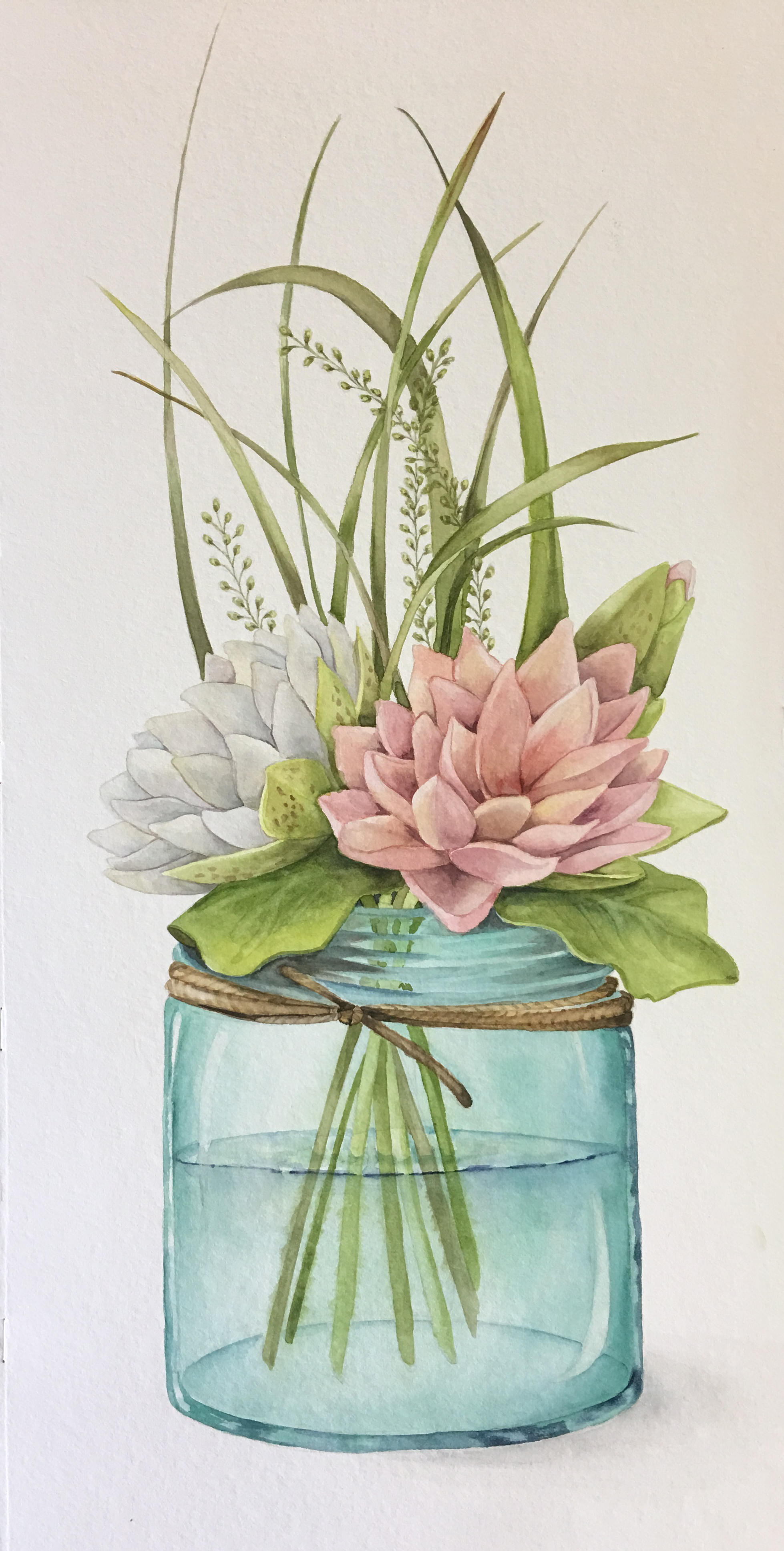 Water Lilys