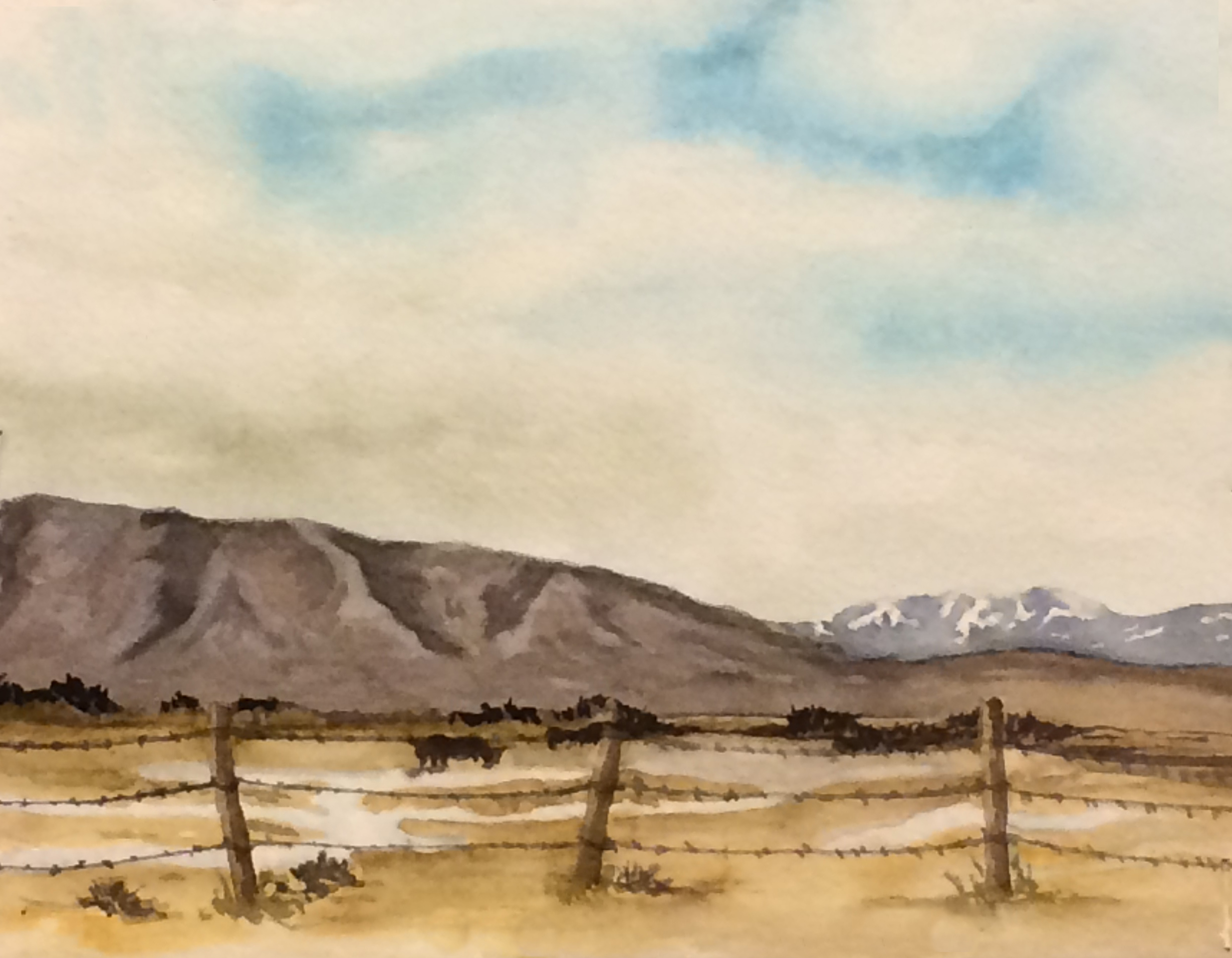 Pasture