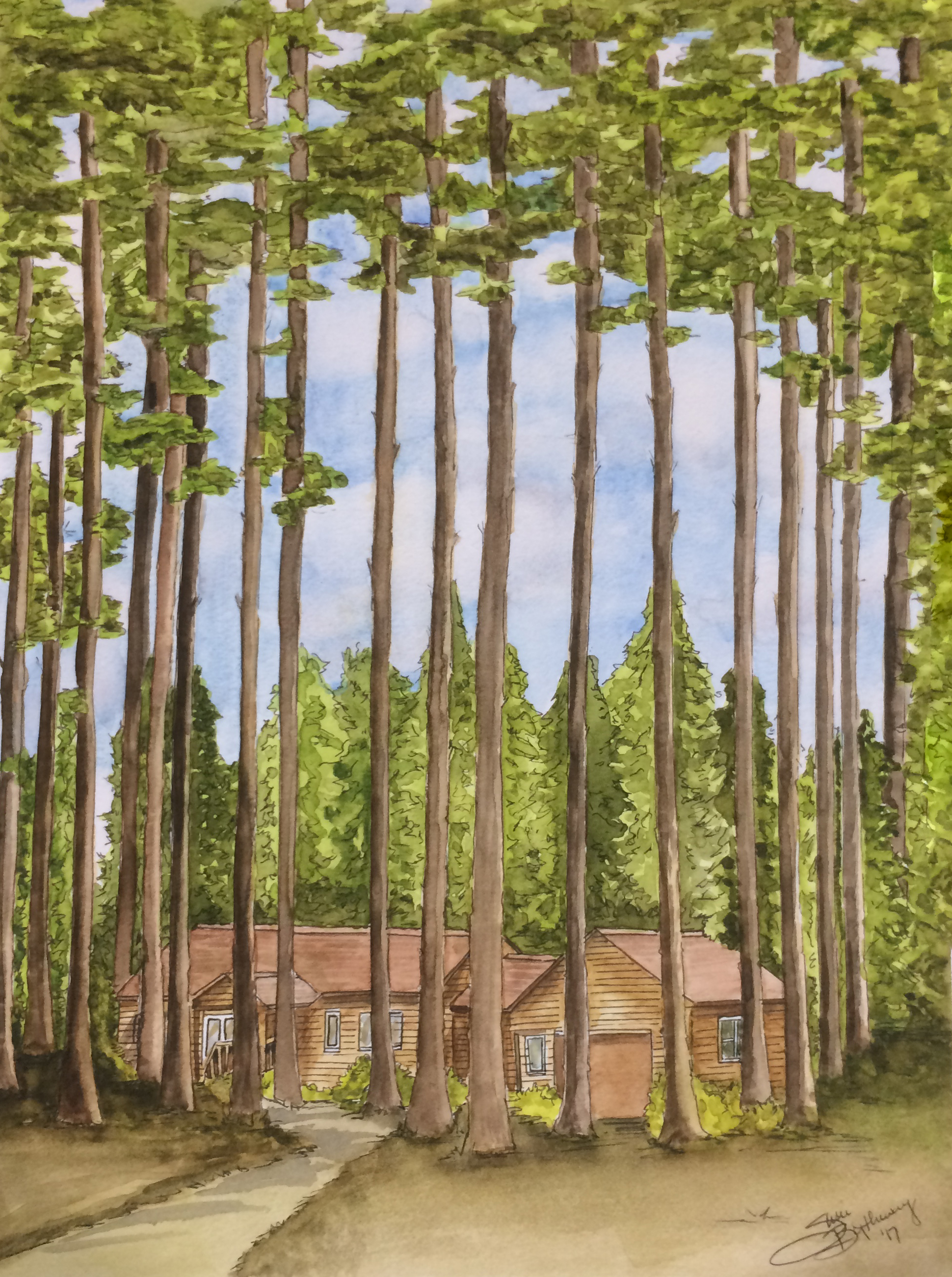 Cabin in the Woods