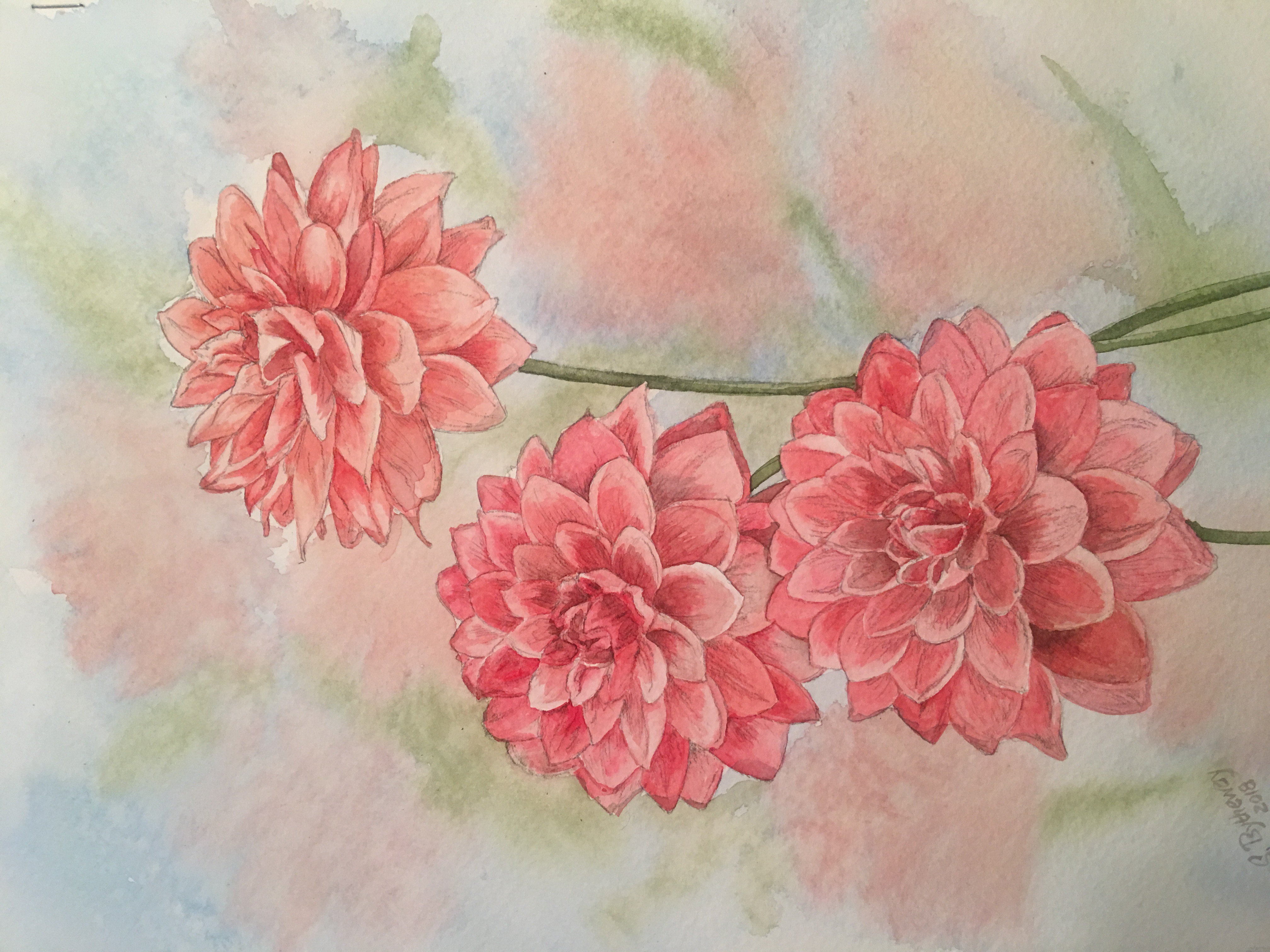 Pink Flowers