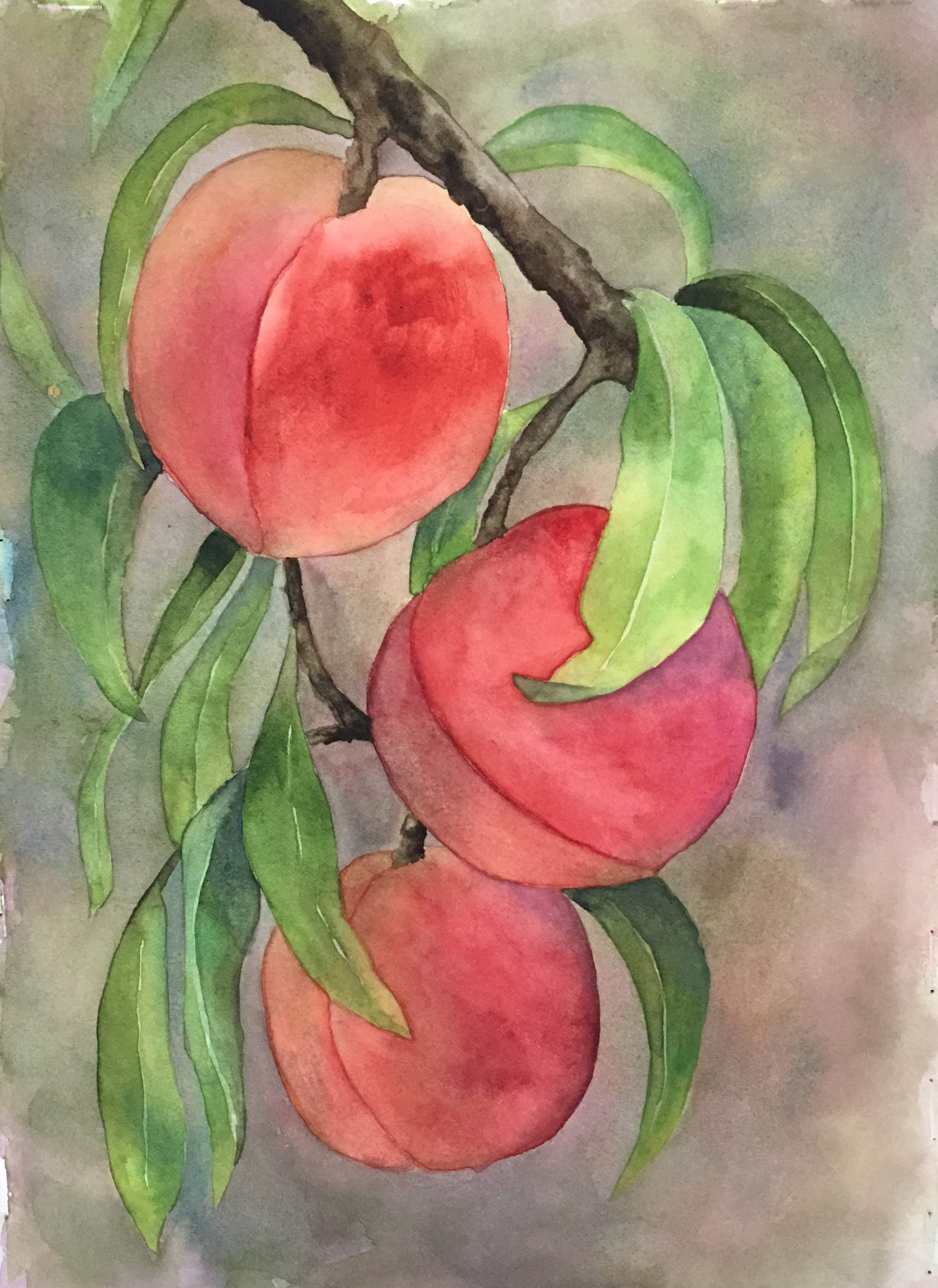 Hanging peaches