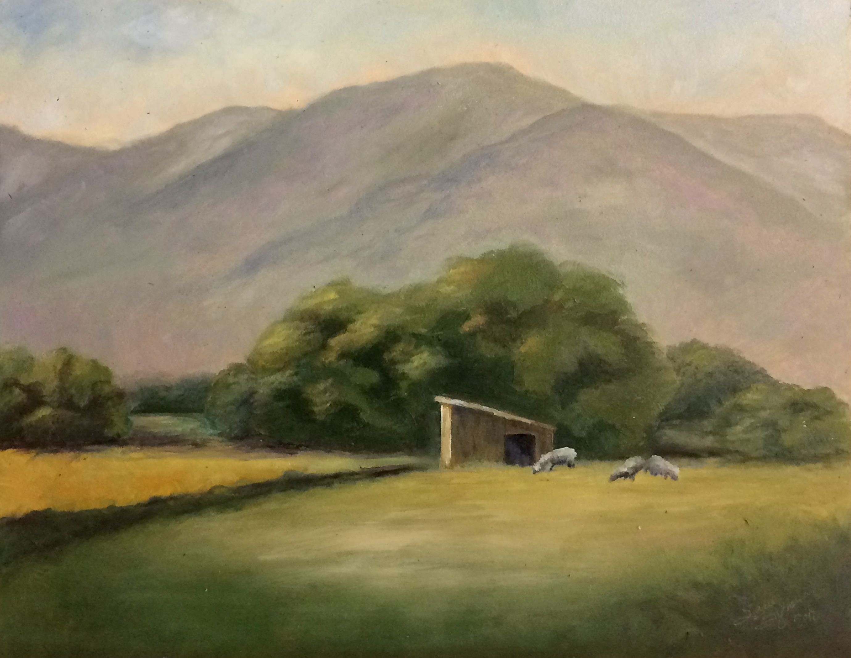 Sheep in Meadow