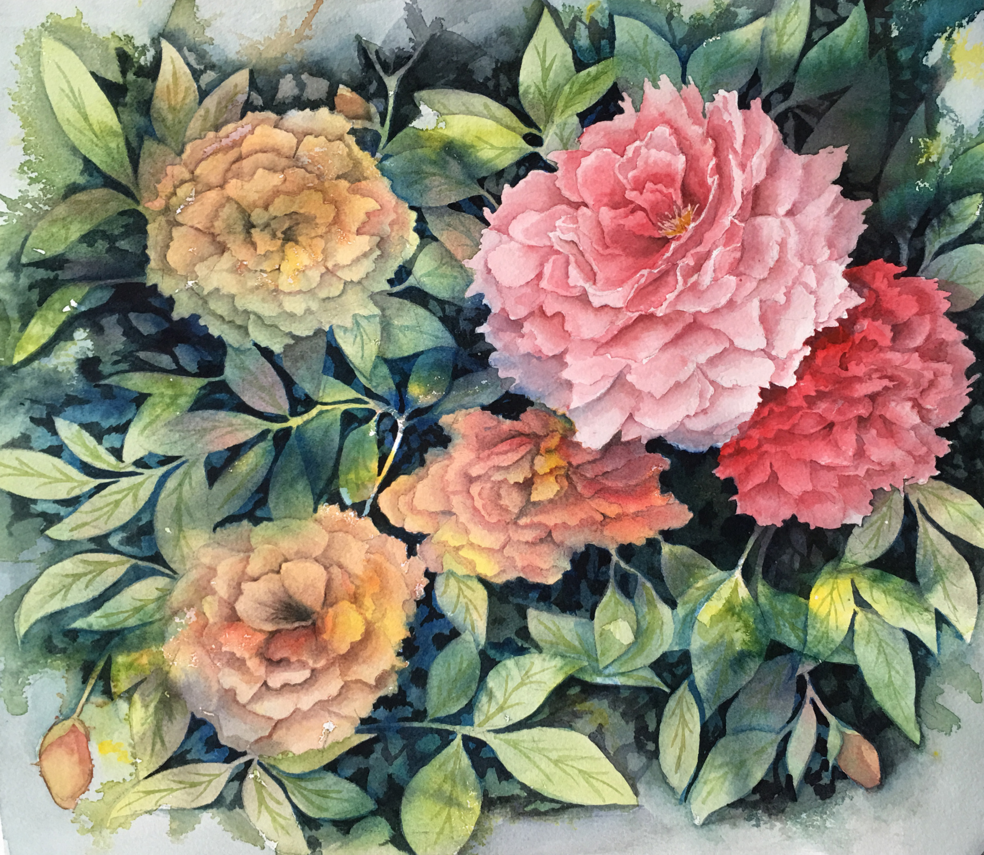 Flower Garden
