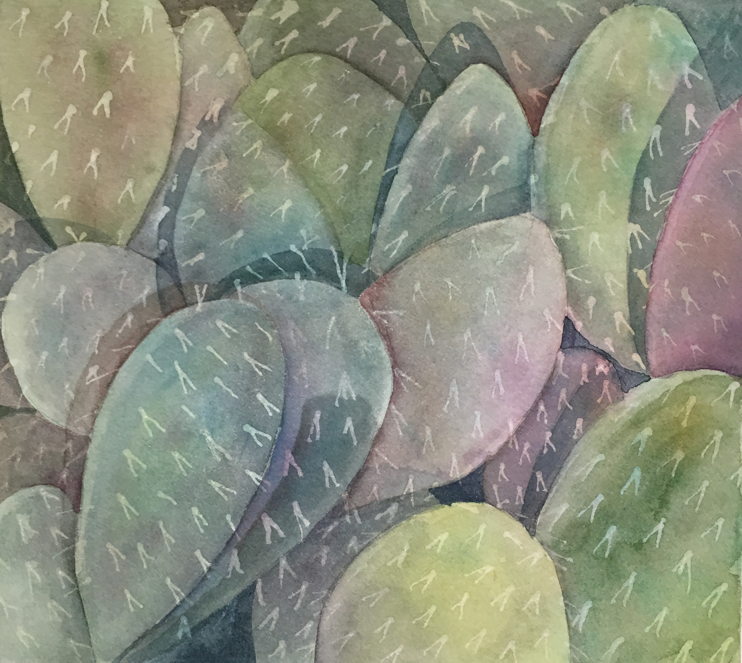 Cactus Patch