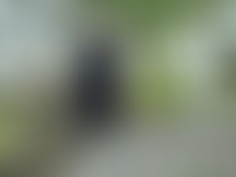 A DESCIDA SÓ É POSSÍVEL A QUEM SUBIU!