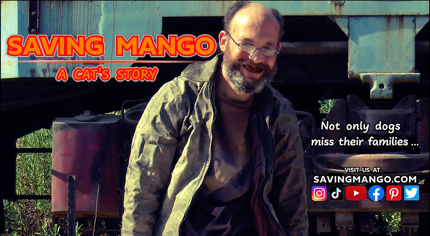 Saving Mango - A Cat's Story A Drama with a charming cat