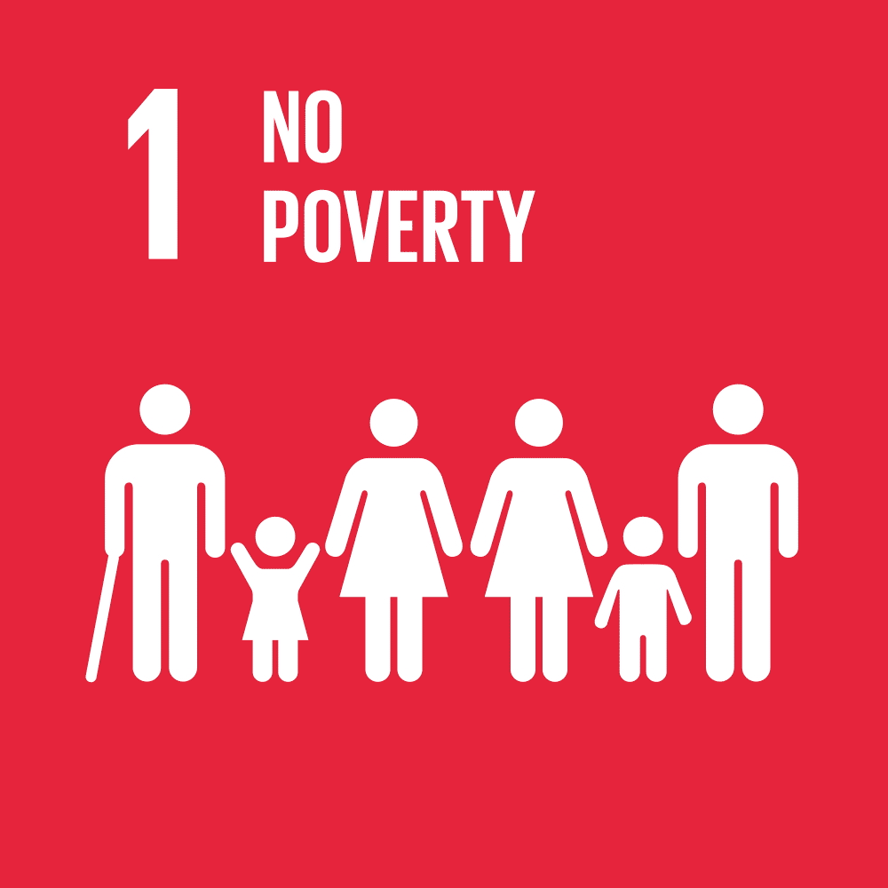 UN goal no poverty