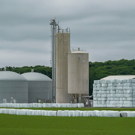 Baling Napier Grass: Maximizing Efficiency in Bio-CNG Production