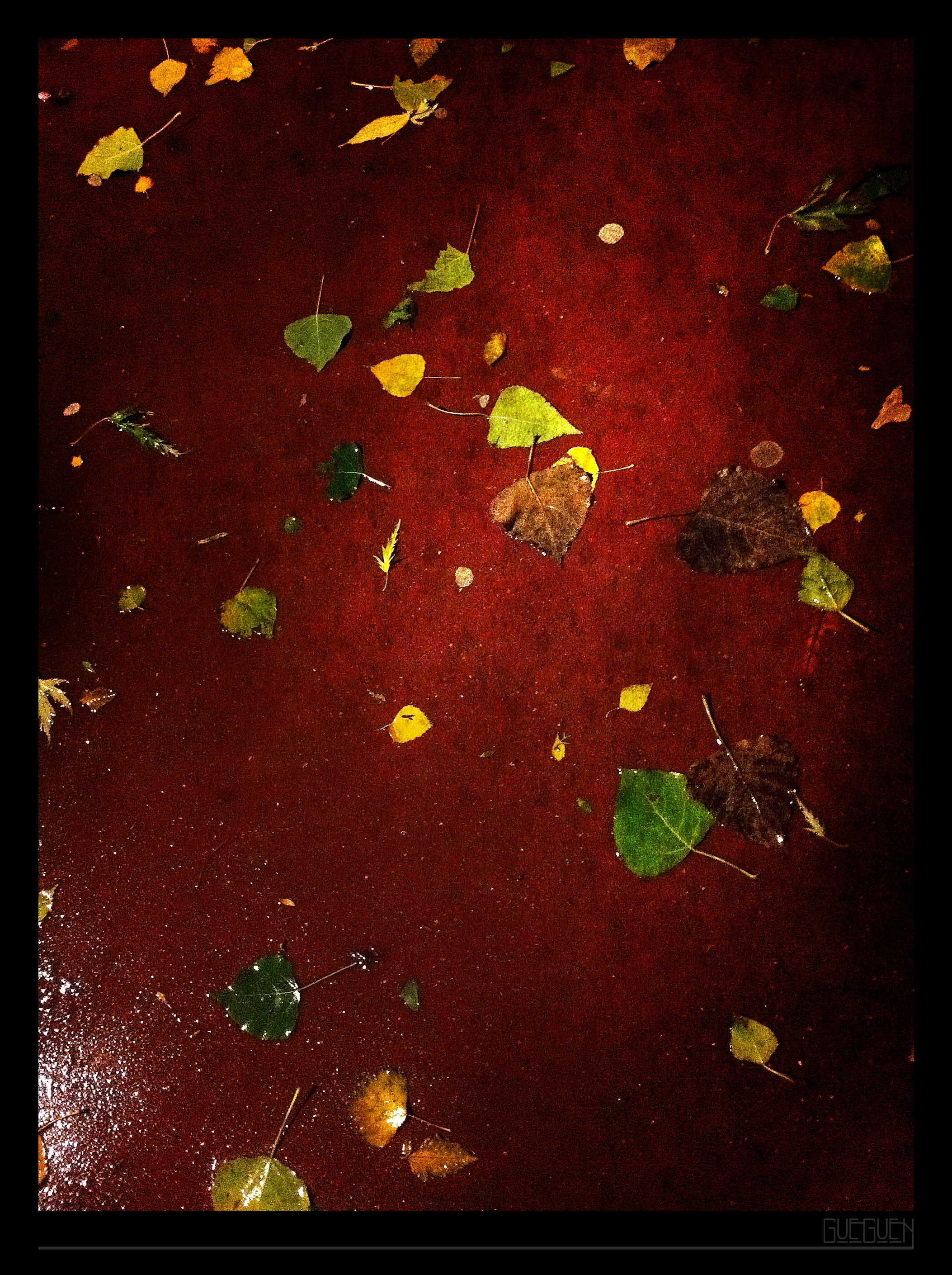 Collateral Damage.jpg