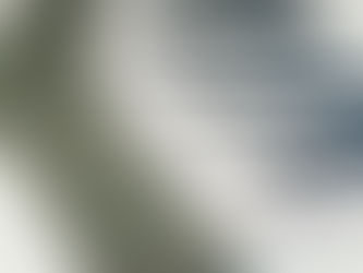 Offset Printing: Essential Publishing for Corporate Authors