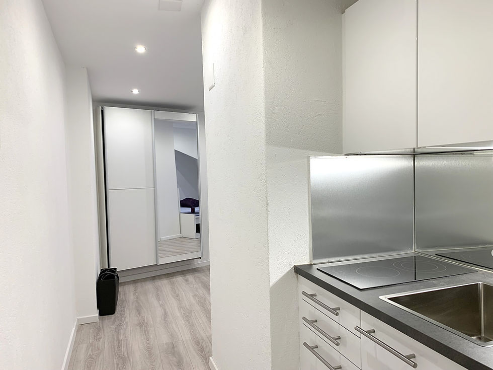 Miniaturbild: "BellVue" – Stilvolle 1.5-Zimmerwohnung Roof terrace