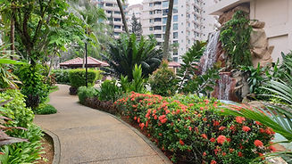 Summer Pond and Landscaping