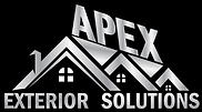 apex logo.webp