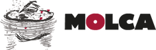 MOLQUITA_03.png