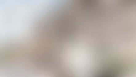 El MET: Todo el arte del mundo en el corazón de NY
