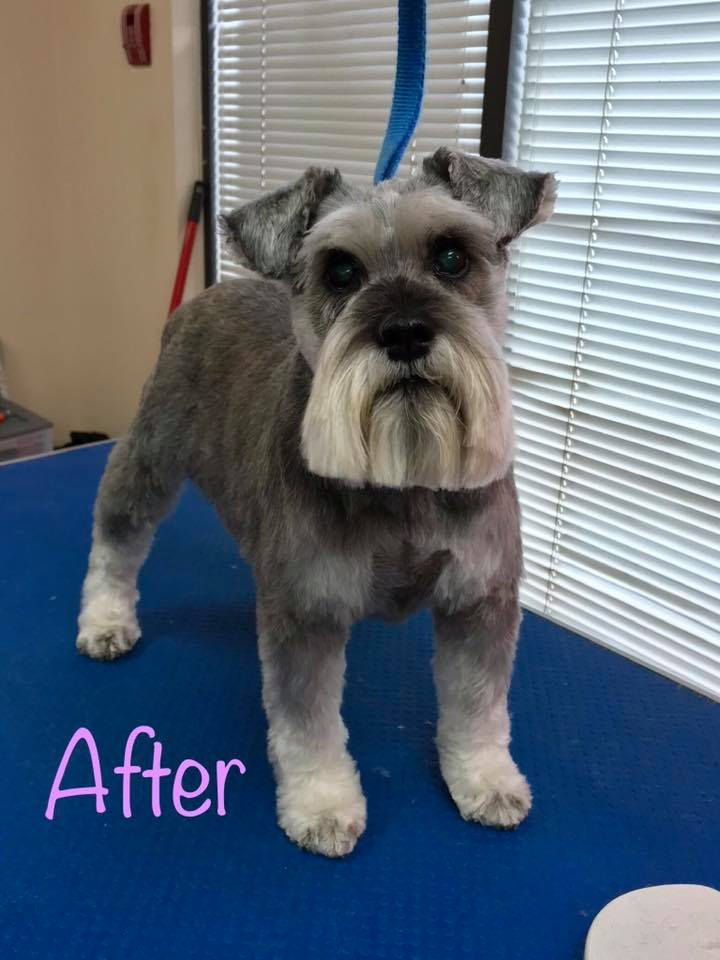 grooming 8