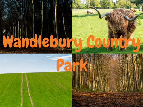Vanlife UK - Wandlebury Country Park