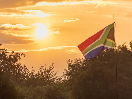 CeleBRAAItion 2019 Festival