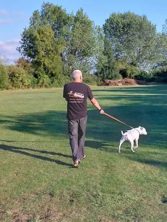 Dog walking. Van life UK. Vanlife UK. Vanlife Europe