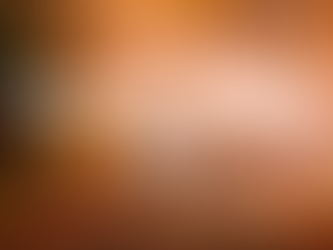 Vanlife UK - Clare Castle Country Park