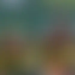 Campeões de Le Mans estão confirmados nas 6 Horas de São Paulo do WEC