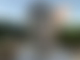 31 anos sem Ayrton: 1º de maio, o dia que o Brasil parou