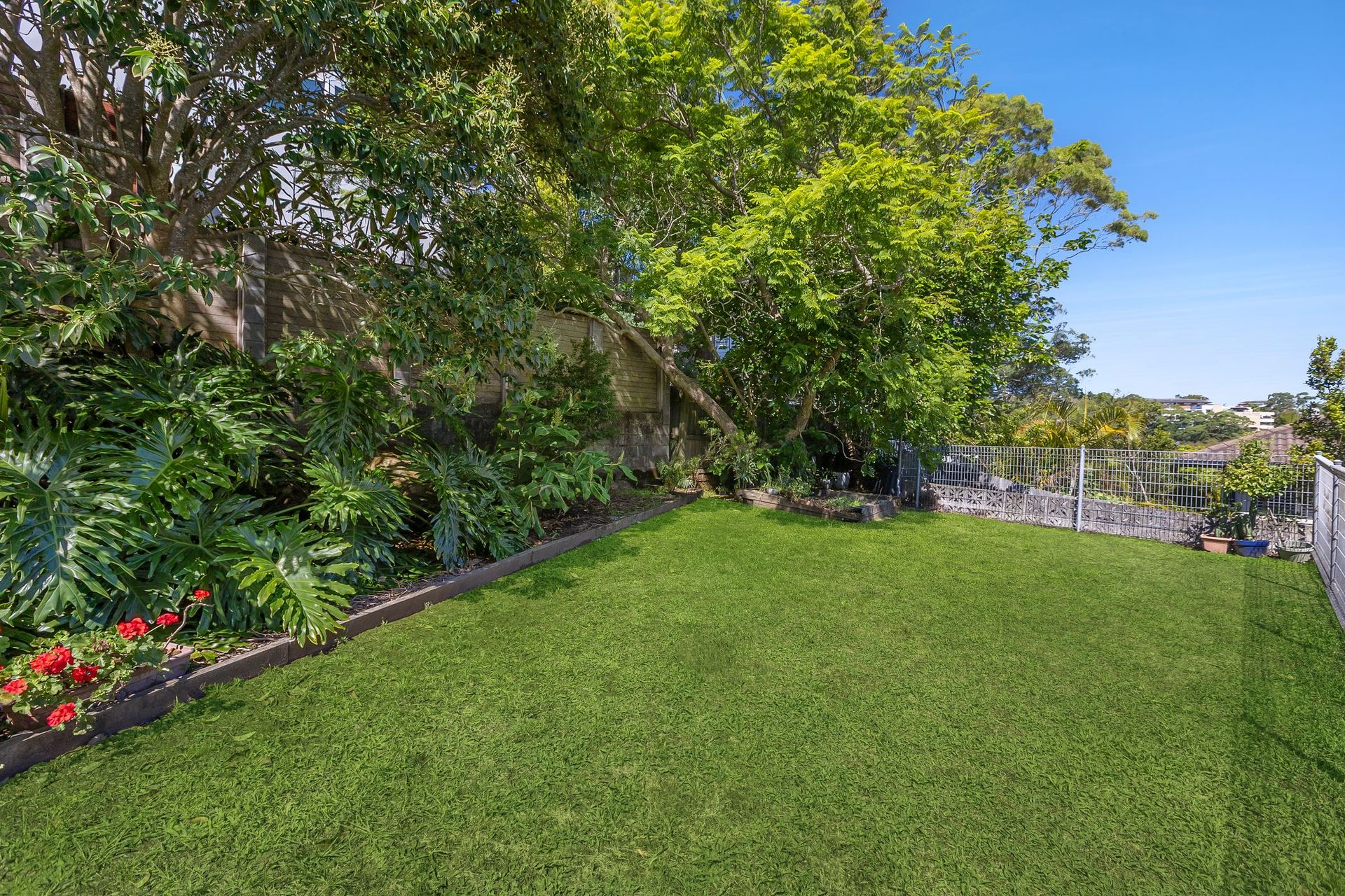 2/13 Waine Street, Freshwater - Thumbnail 7