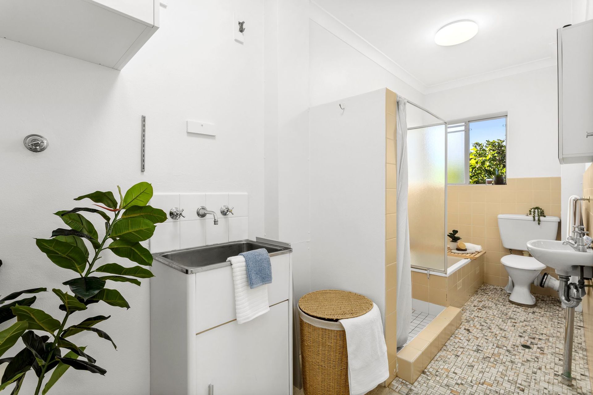 17/94 Lawrence Street, Freshwater - Thumbnail 6