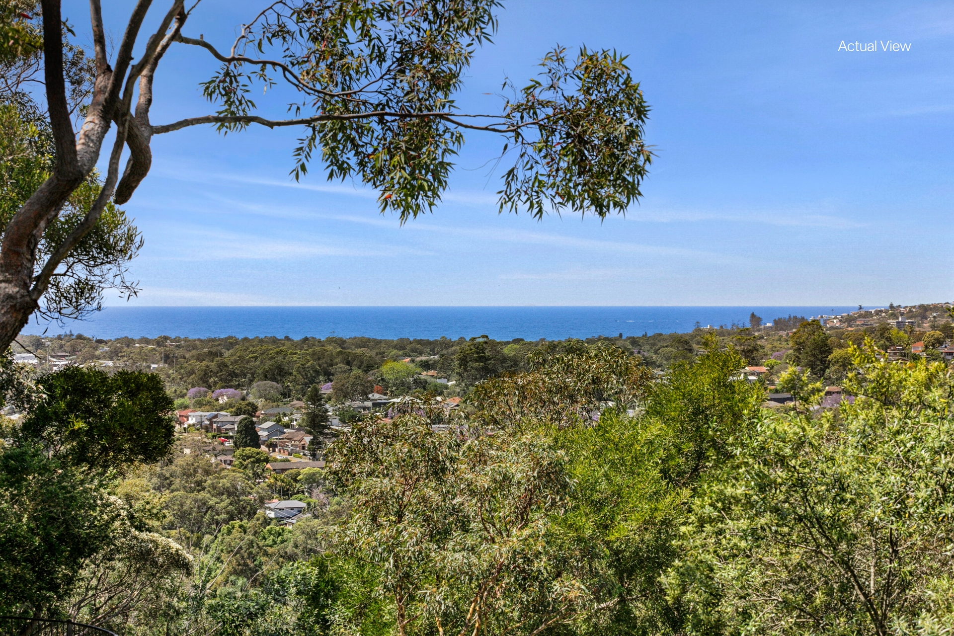 67 Washington Avenue, Cromer - Thumbnail 4