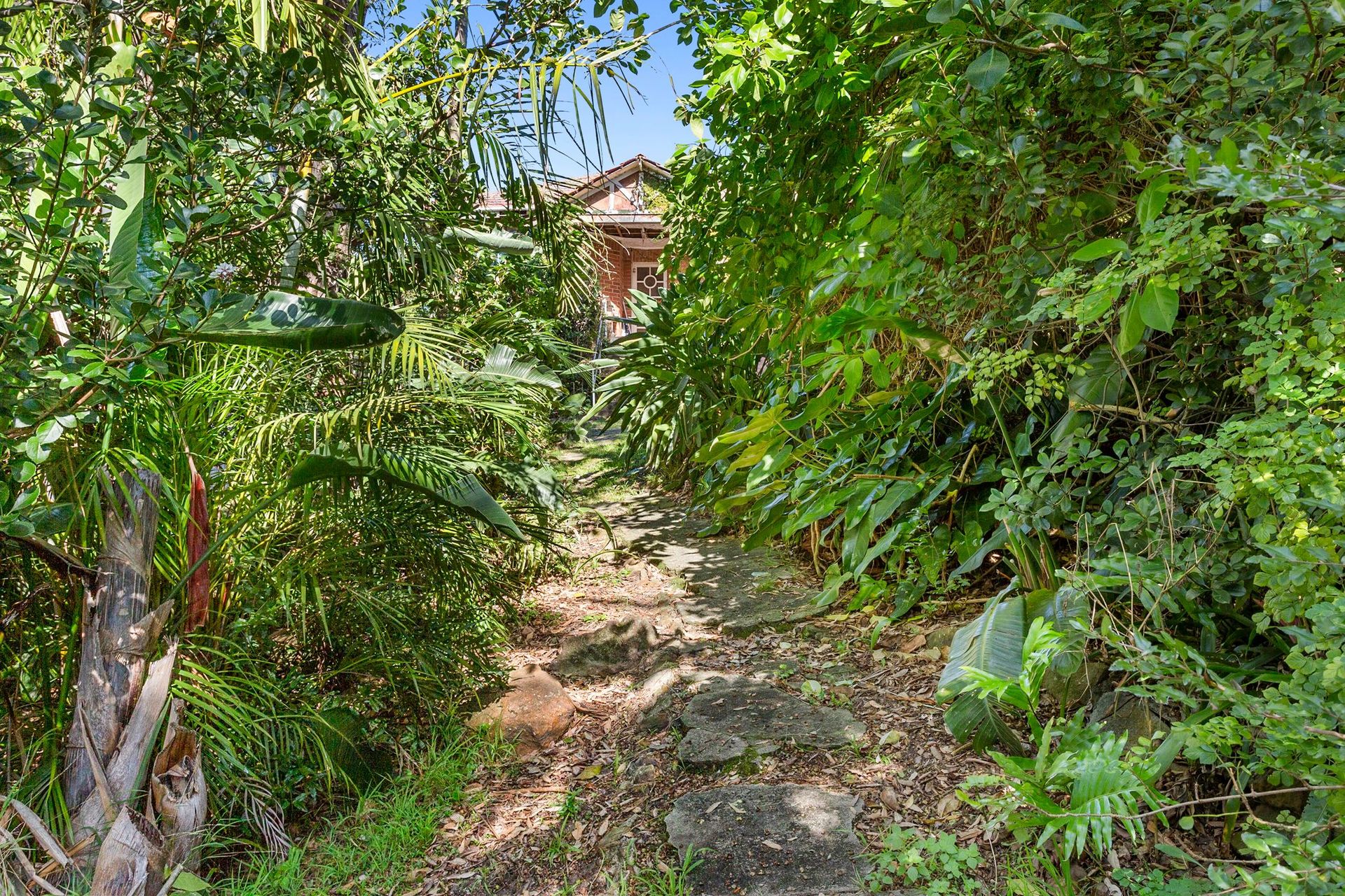 90 Brighton Street, Freshwater - Thumbnail 5