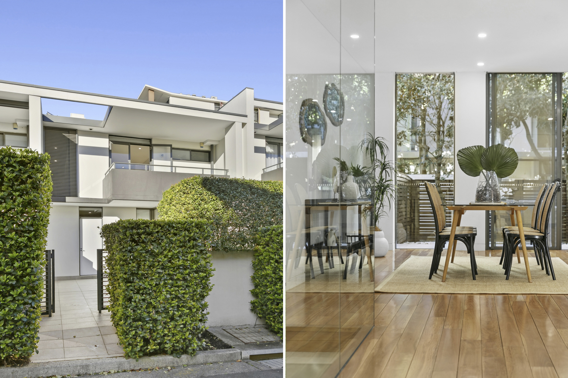 6 Thomas Street, Balgowlah - Thumbnail 3