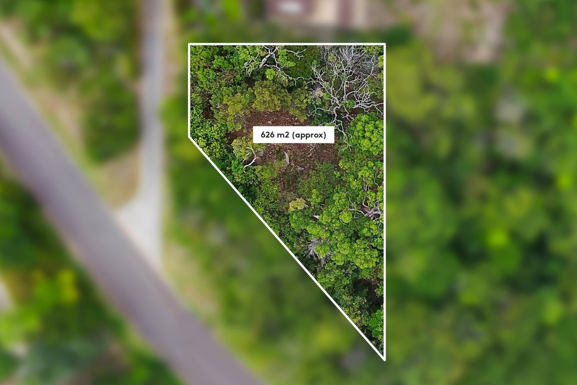 60 Castle Circuit, Seaforth - Thumbnail 6