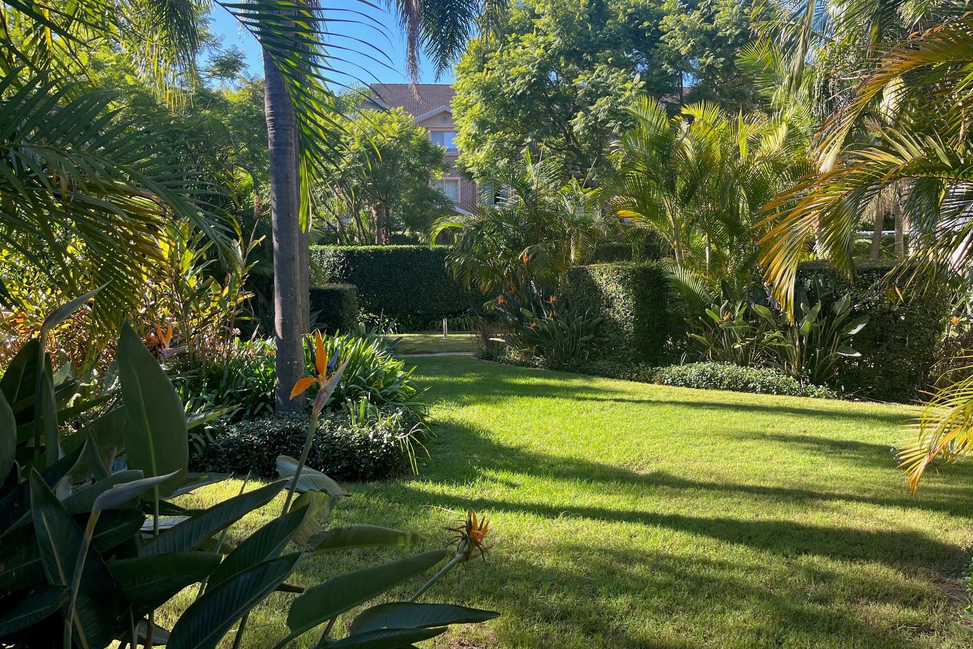 34/8 Koorala Street, Manly Vale - Thumbnail 5