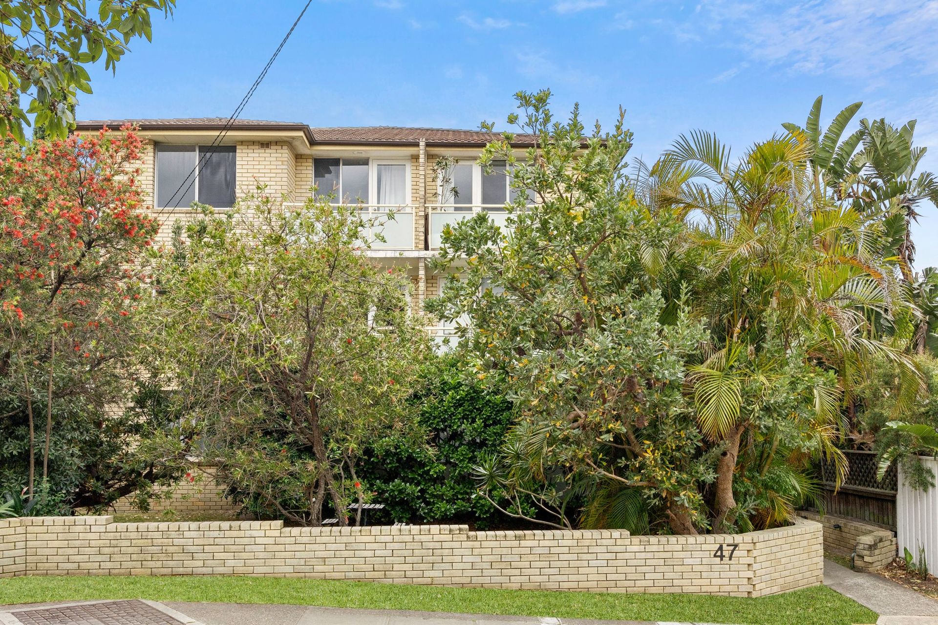 5/47 Harbord Road, Freshwater - Thumbnail 8