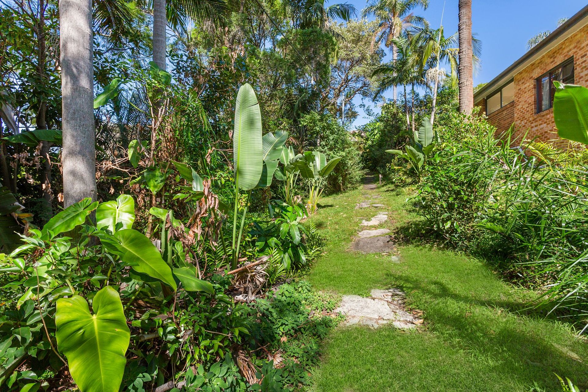 90 Brighton Street, Freshwater - Thumbnail 4