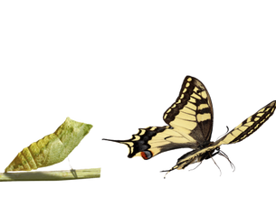 Какво пречи на благодатта в нас?