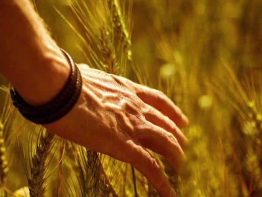 Дисциплина на посвещението