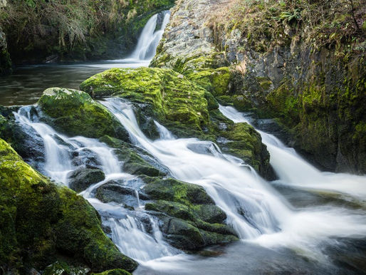 Изкупление чрез Божието Слово