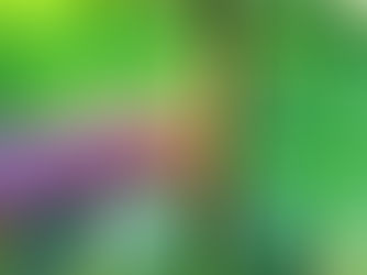 Спасяване на мравки