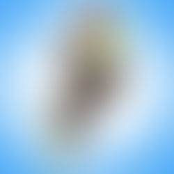 Frogs, football and financial assets