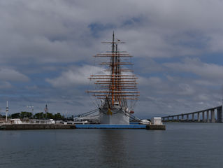 動画配信サービス開始