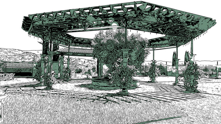 Dancing Crow - The Pergola.jpeg