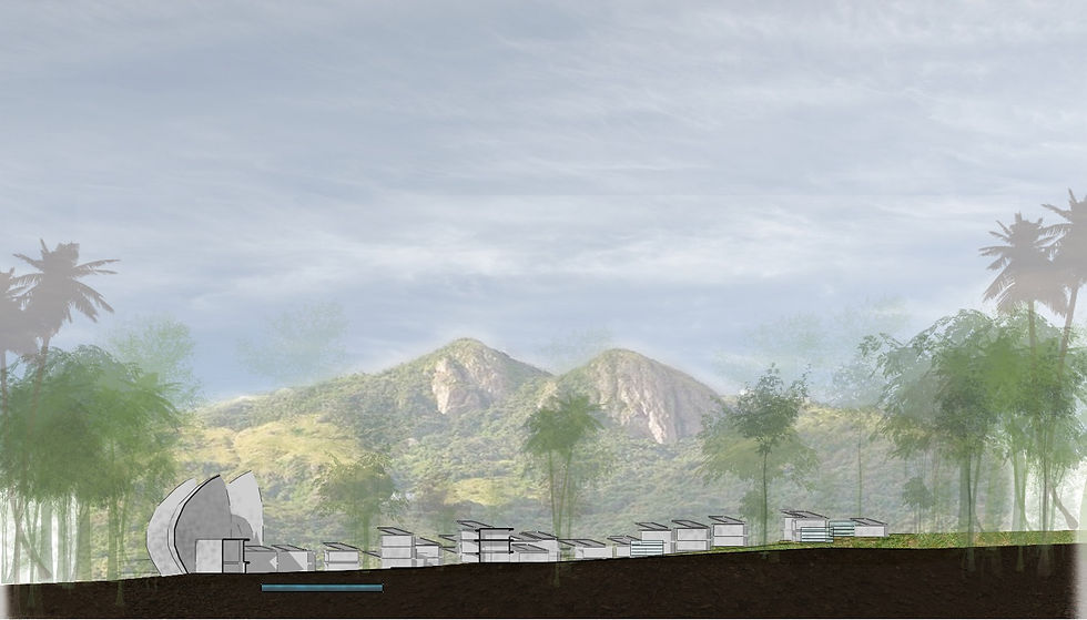 Regeneration in Puerto Rico