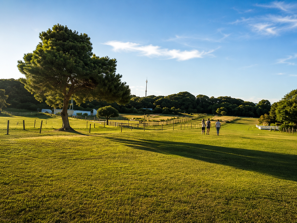 Circuito de corta mato das Açoteias na praia da falésia