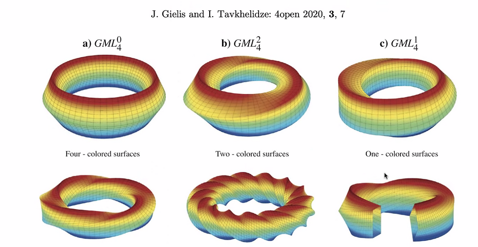 Moebius Math inspired on the heart of a whale who pumps around 1000 litters blood on just a bit of krill energy. Few volts. Loads of power. From the Benelux GIELIS Superformula team, Geometree.