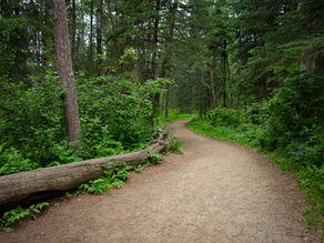 Itasca State Park