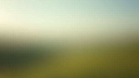 Market Insights: Navigating Undervalued Land Purchases