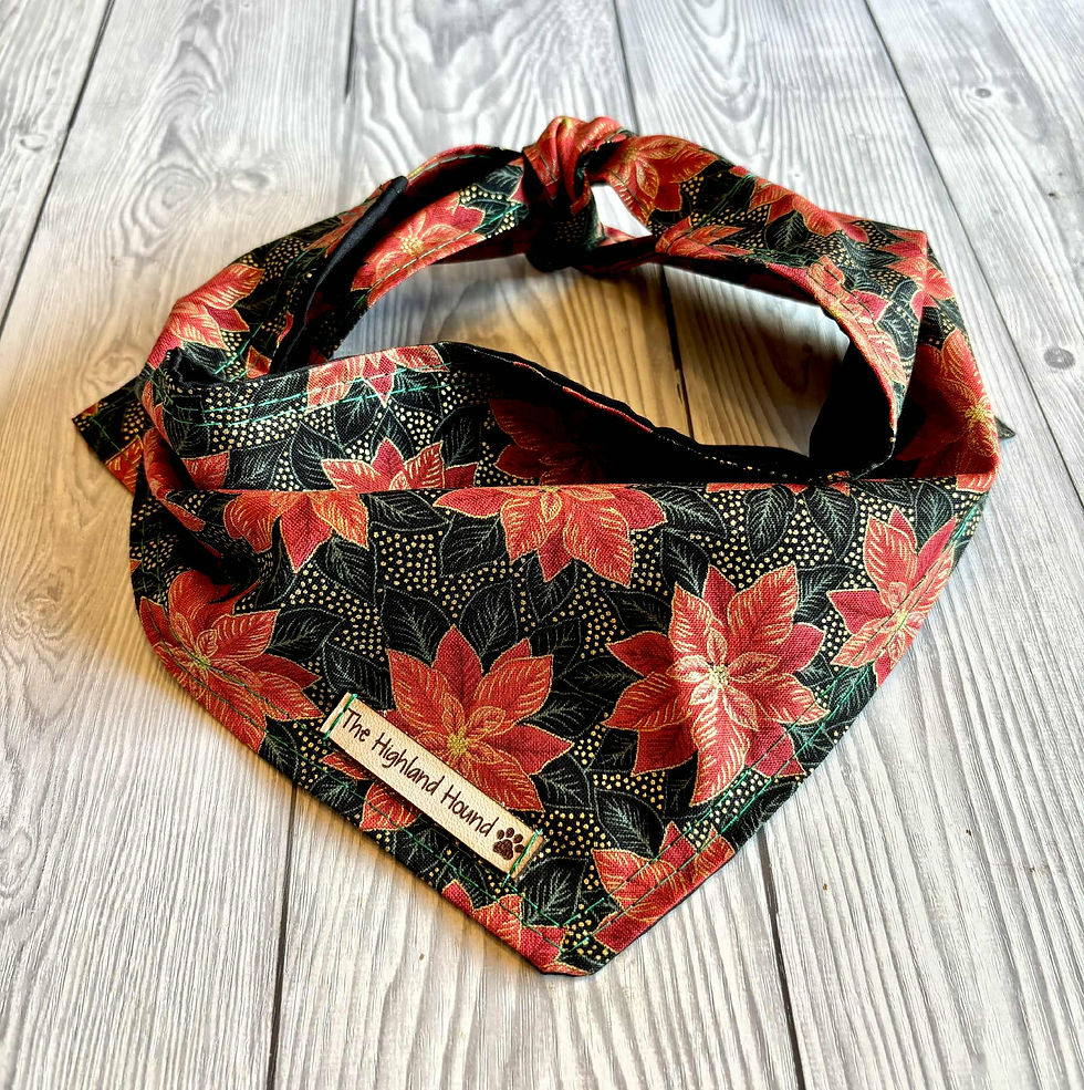Poinsettia Bandana