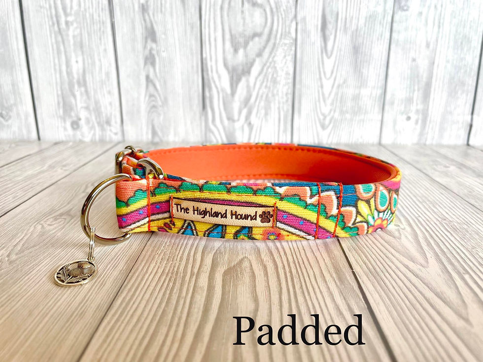 Thumbnail: Ella 1" Collar
